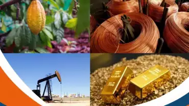 Surperformance des matières premières en 2024