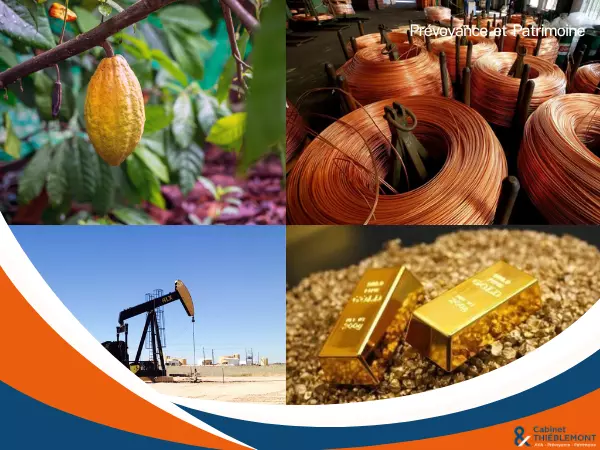Surperformance des matières premières en 2024